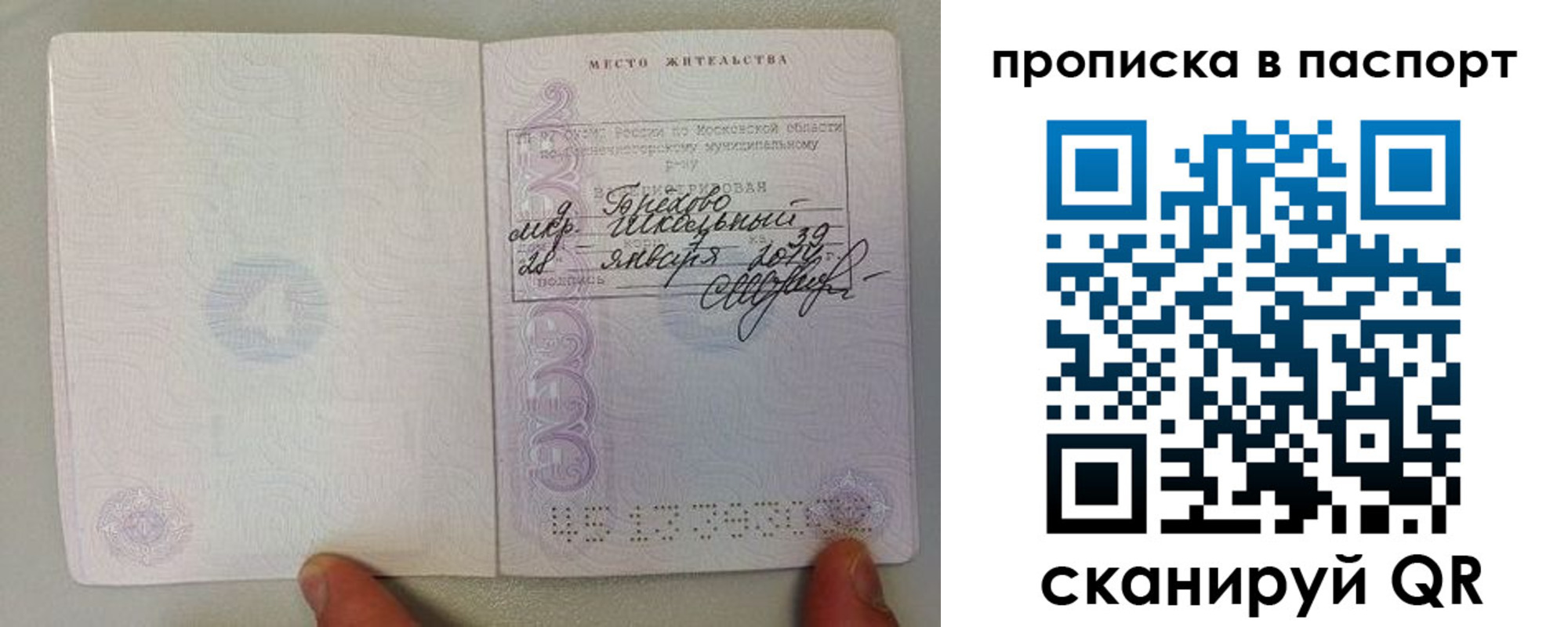 прописка ребенка в Змеиногорске